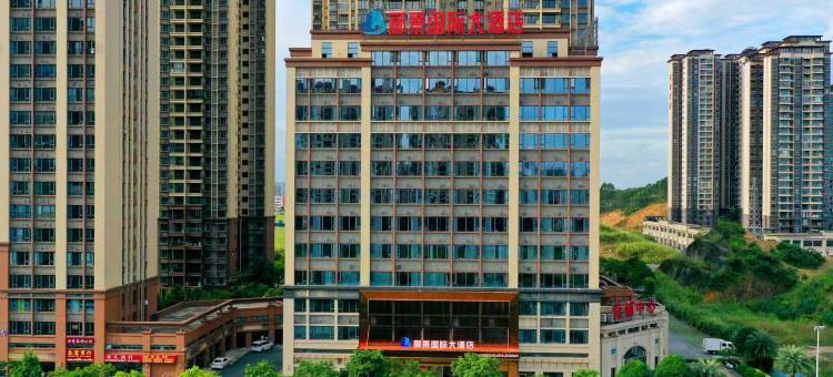 郦景国际大酒店(防城港高铁北站店)图片