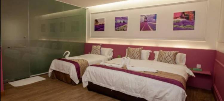 A+精品酒店(A Plus Boutique Hotel)图片