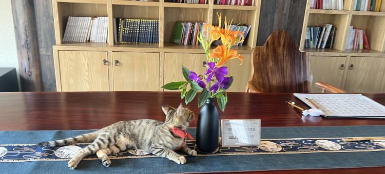 飞霞龙田归田居度假民宿图片