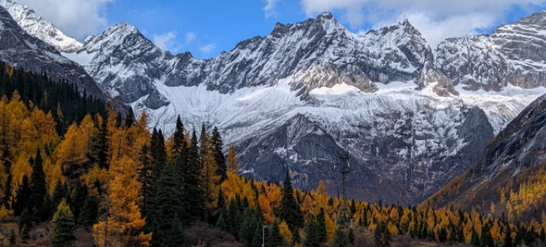 四姑娘山御宿苑·山野度假酒店(长坪沟景区店)图片