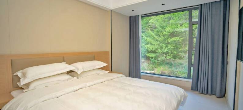 亮丽度假民宿(老君山景区店)图片