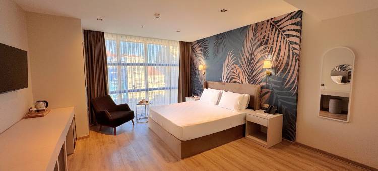 柏悦德德曼希什利(Park Dedeman Sisli)图片