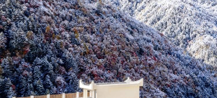 浔光月归·雪山秘境美宿(四姑娘山景区店)图片