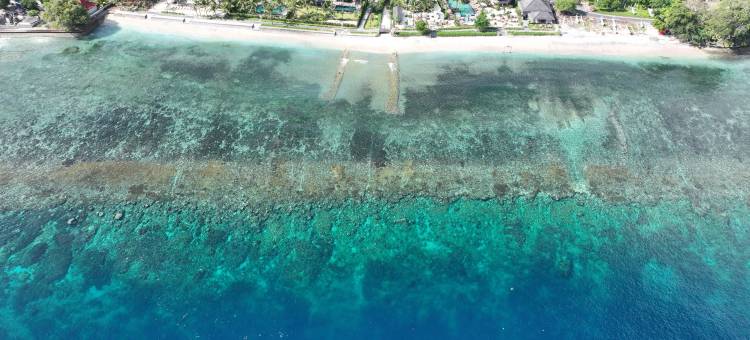 七梦普拉玛体验(Seven Dreams A Pramana Experience)图片