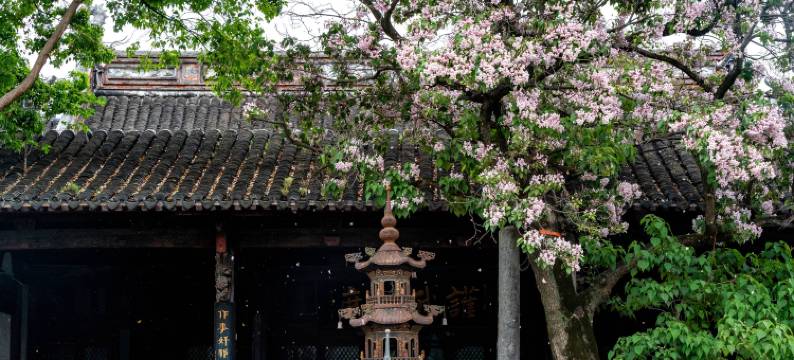 盐官潮乐之城平楚客栈图片