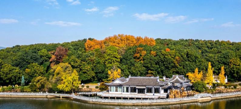 圣天地旅居酒店(铜陵金山广场第十二中学店)图片