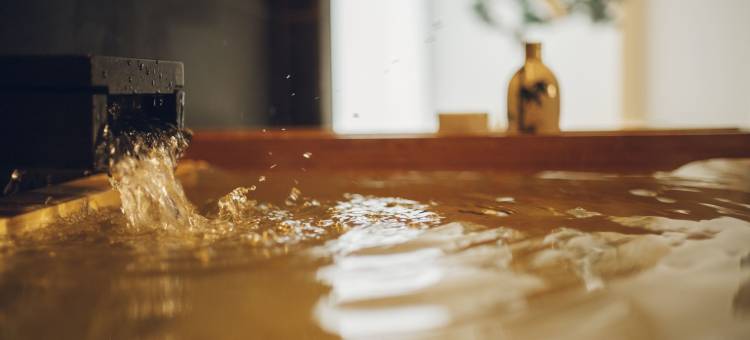 京都三条诺尔酒店(Nol Kyoto Sanjo)图片