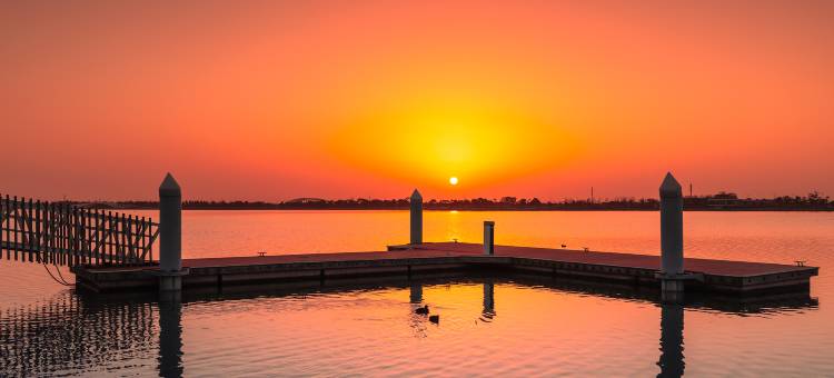 上海滴水湖洲际酒店图片