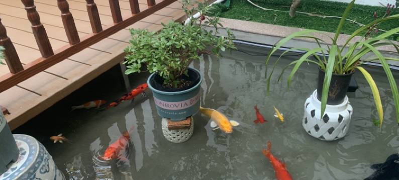 花涧里吾家小院(潮州古城牌坊街店)图片