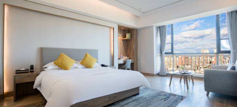 逸尚东方酒店(绵阳园艺山科创园东辰学校店)图片