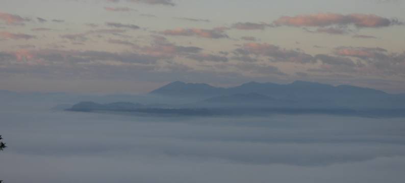 西双版纳景洪清心居青年旅舍图片