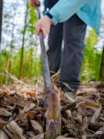宜兴龙隐溪山酒店图片