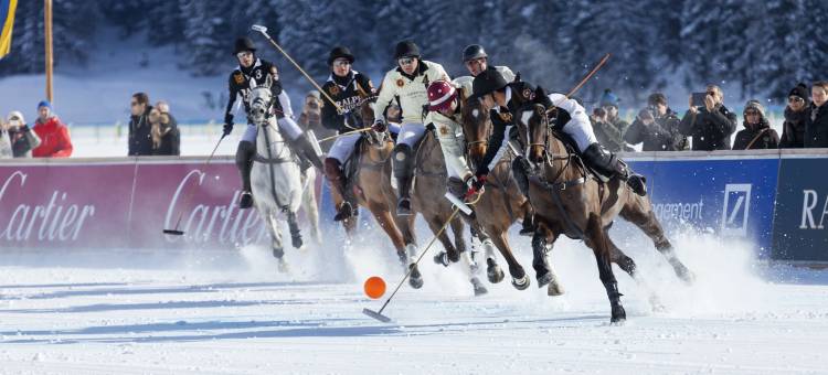 Club Med地中海俱乐部·阿尔卑斯山圣莫利斯度假村(Club Med Saint Moritz Roi Soleil)图片