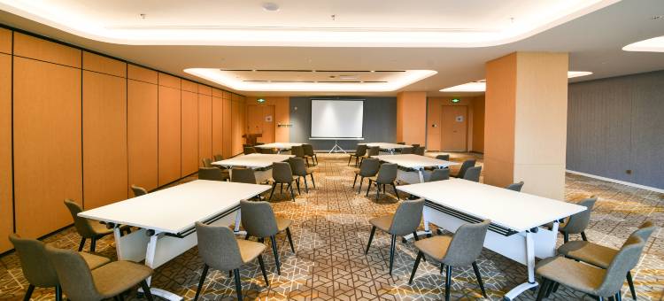 辛集中心智选假日酒店图片