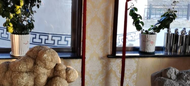 阿尔山林海宾馆图片