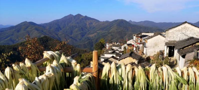 雨子 · 云上山居亲子休闲度假Villa山宿图片