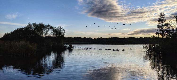 Viridian Apartments in Farnborough Serviced Apartments - Alexandra House图片