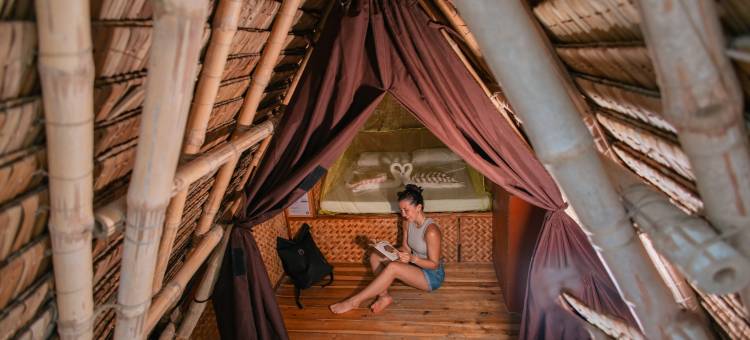 纳潘海滩疯狂猴子青年旅馆(MAD Monkey Hostel Nacpan Beach)图片