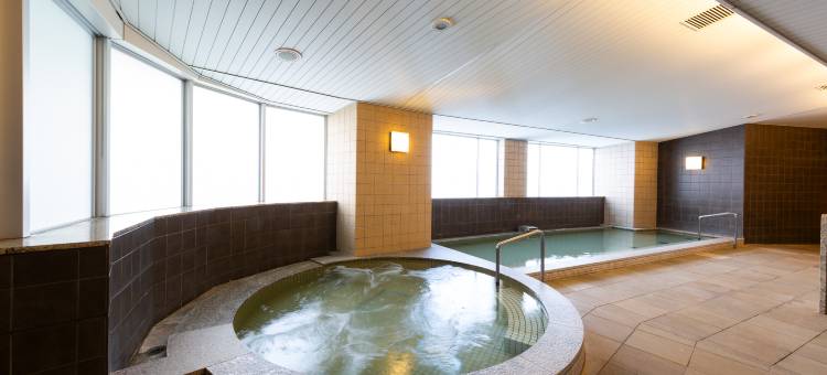 舞滨HULIC景观酒店(旧称东京湾舞滨酒店)(Maihama View Hotel by HULIC (formerly Tokyo Bay Maihama Hotel))图片