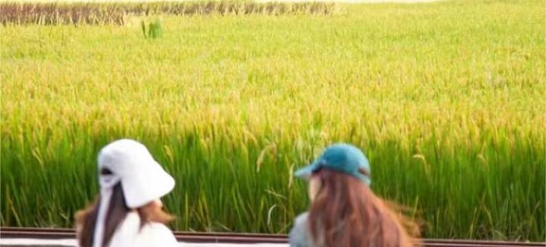 安吉大年初一度假村图片