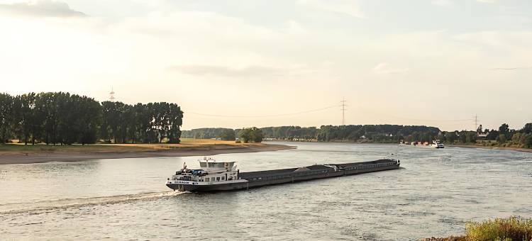 蒙海姆Hey Lou酒店(Hey Lou Hotel Monheim am Rhein)图片