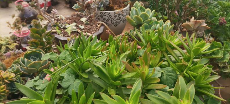 丽江水云间精品客栈图片