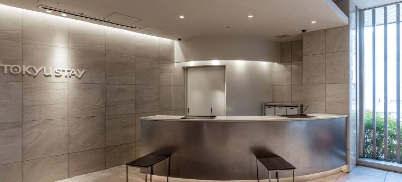 东京新桥东急STAY酒店(近银座商圈)(Tokyu Stay Shimbashi (Ginza area))图片