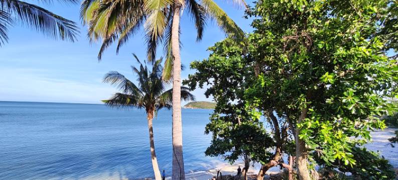 苏梅岛树影别墅海滩度假村(Bhundhari Resort & Villas Samui)图片