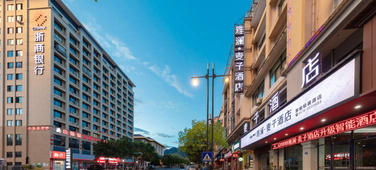 雅澜·麦子智能酒店(遂昌客运中心店)图片
