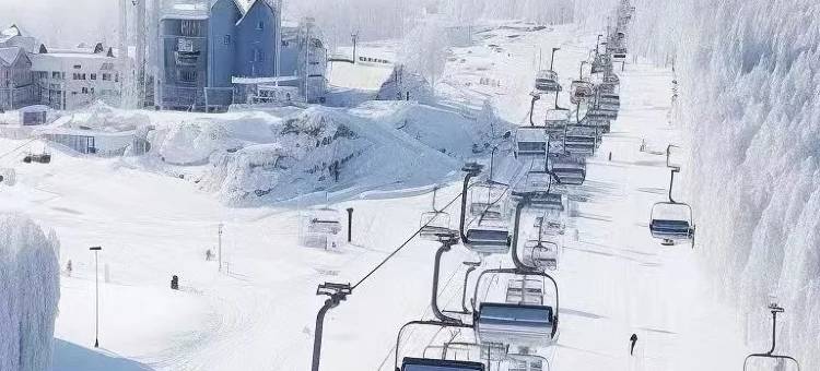 奕海客情民宿(亚布力滑雪旅游度假区店)图片