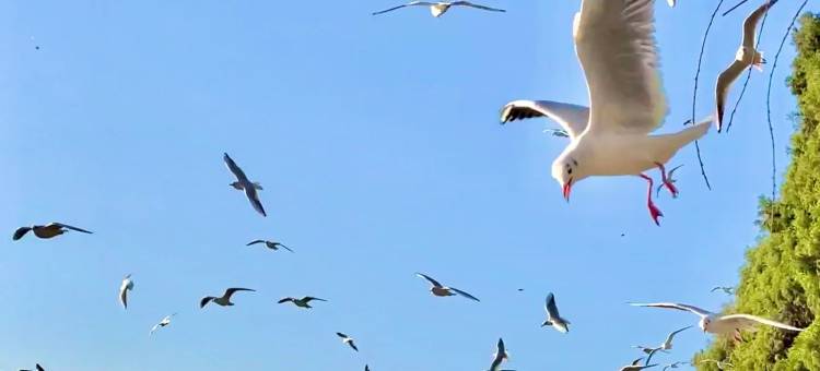 昆明锦江大酒店图片