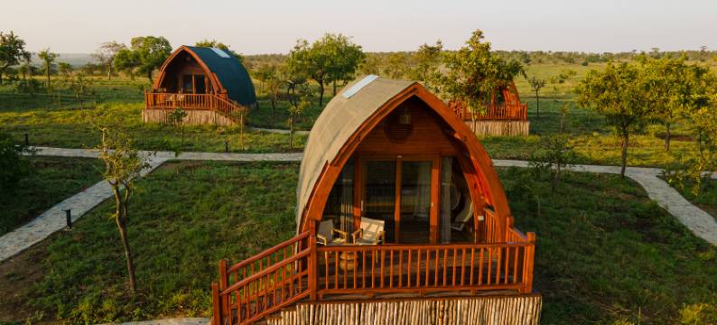 塞伦盖蒂方舟木屋营地(Serengeti Ark Safari Lodge - Kogatende)图片