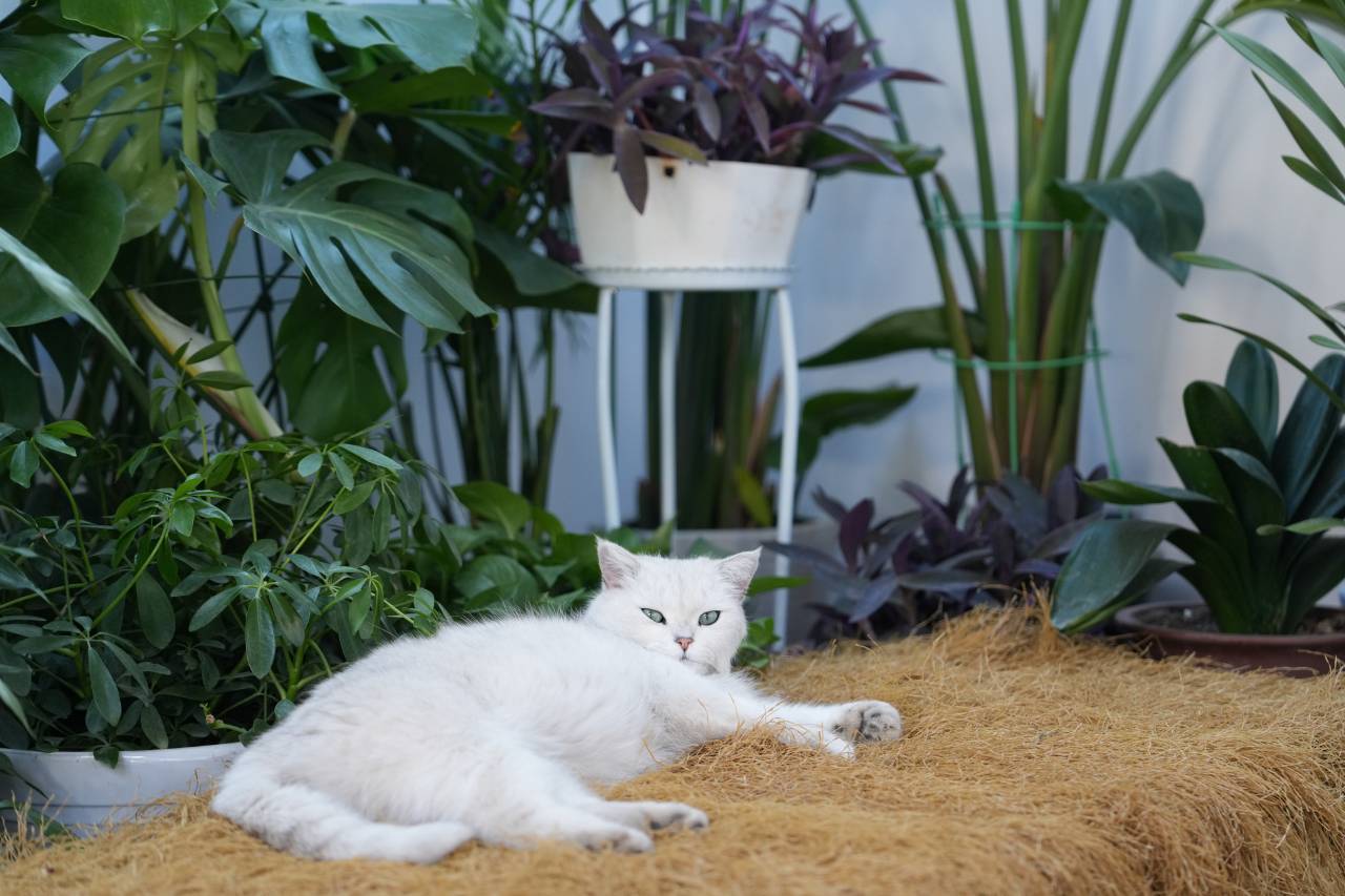 花筑·西安花溪茉轰趴民宿(鄠邑李家岩村店)图片