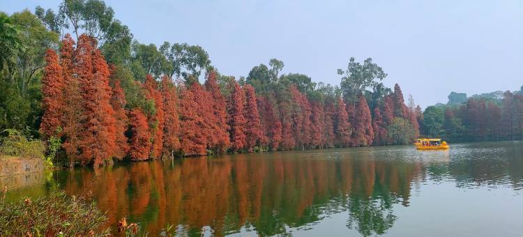 肇庆一言酒店公寓(七星岩东门广场景区店)图片