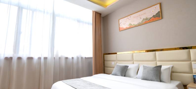 洛阳瑞莘酒店(龙门高铁站宝龙广场店)图片