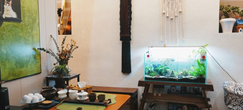 鲤屋民宿(泉州古城西街店)图片