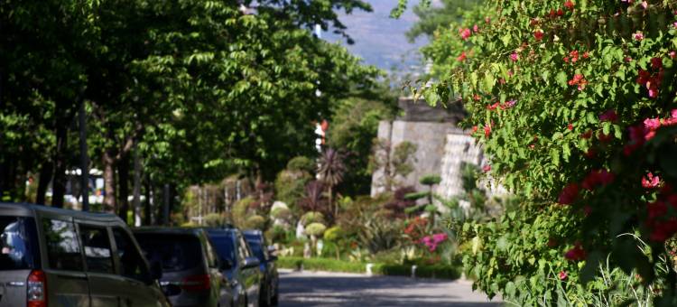 大理古城•丽怡COUNTRY•花园度假酒店图片