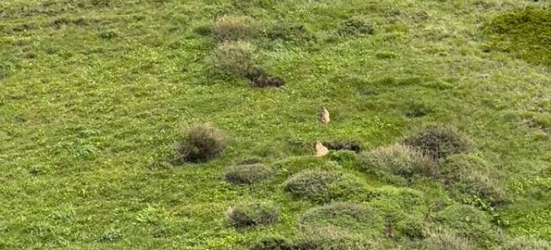 赛里木湖牧野呼吸民宿图片
