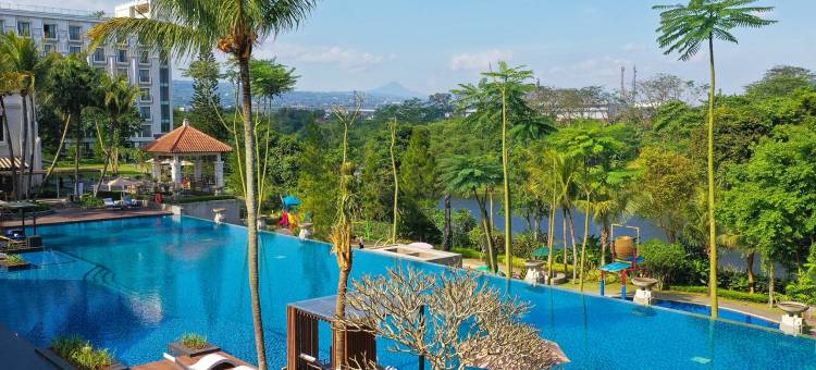 万隆马尾松酒店(Mason Pine Hotel Bandung)图片