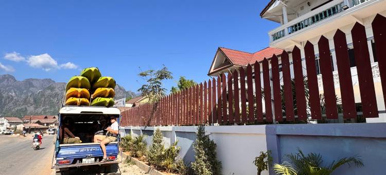 丛林背包客景观(Jungle Backpackers Terrace View)图片
