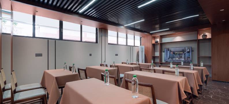 平南米来酒店(中心广场店)图片