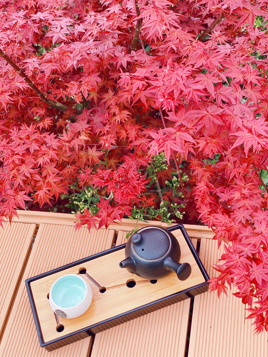 Xinfeng Lingnan maple leaves WorldHotel Overview