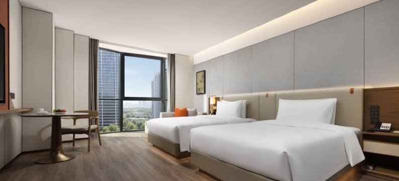 武汉楚河汉街东湖开元名庭酒店图片