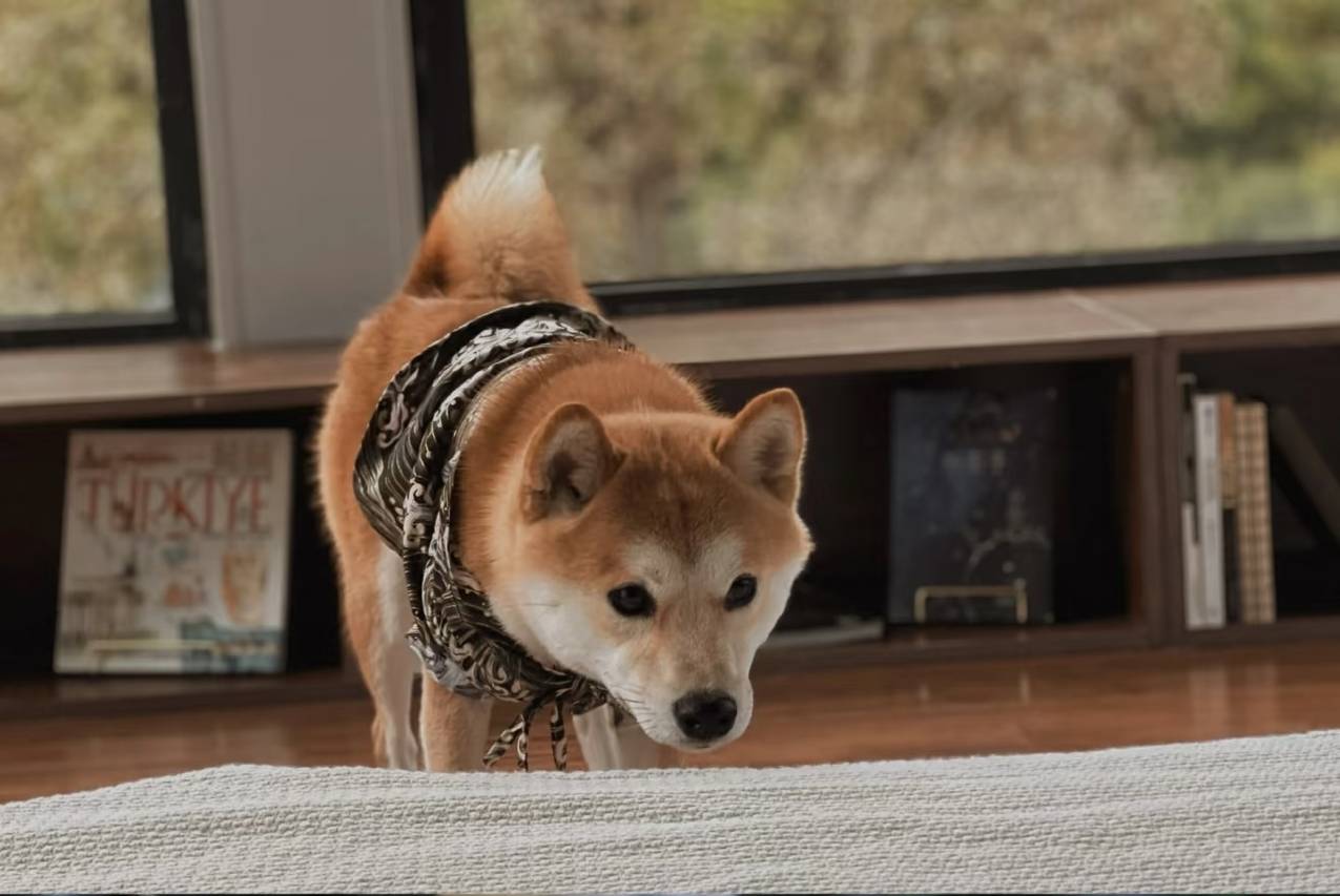 半闲时光·居(忻州古城店)图片