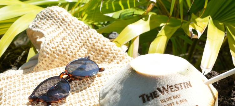 海南蓝湾绿城威斯汀度假酒店图片