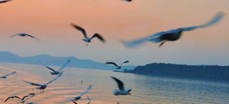 无锡华怡明都大酒店(滨湖万象汇店)图片