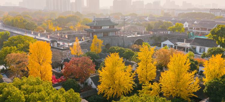 苏州中心大酒店图片