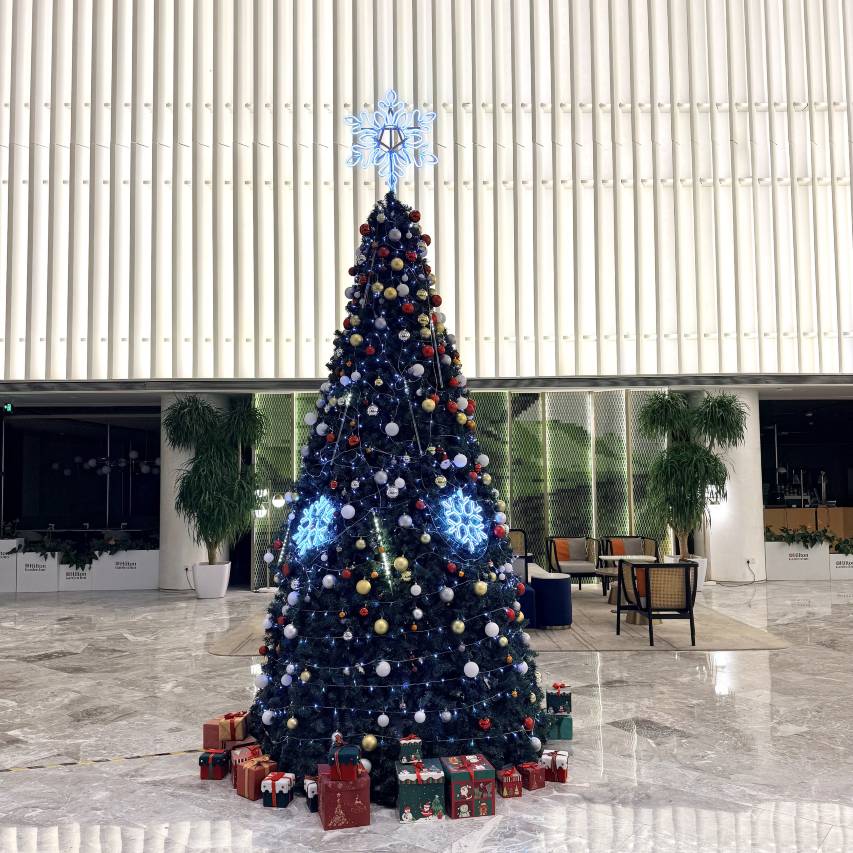 南京河西奥体中心希尔顿花园酒店图片