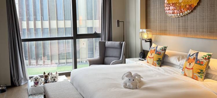 上海临港凯悦酒店图片