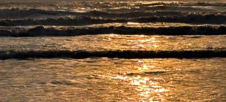 丽湾酒店(福州长乐国际机场店)图片